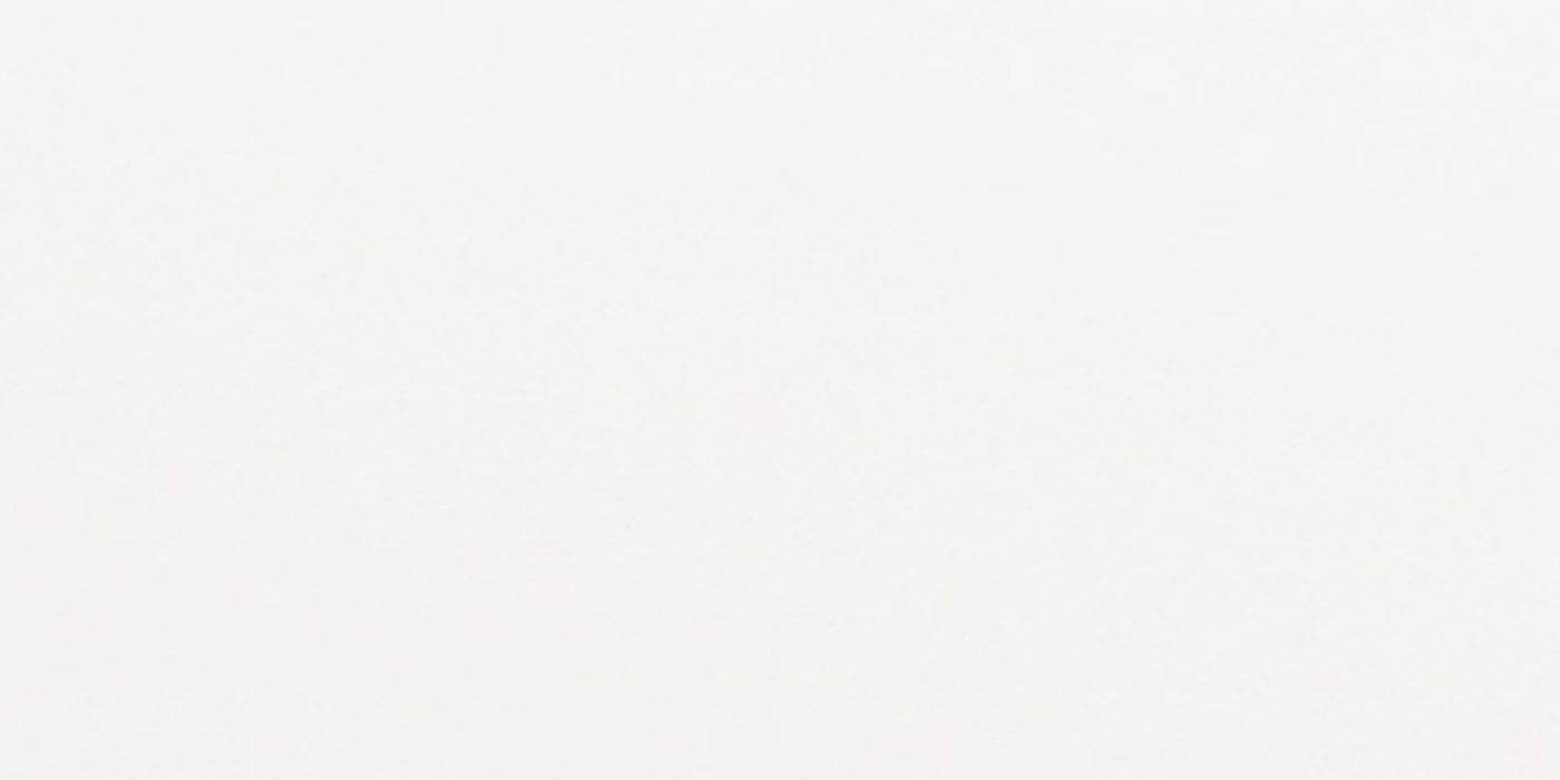 60X120 SERENA-SUPER WHITE FON PARLAK